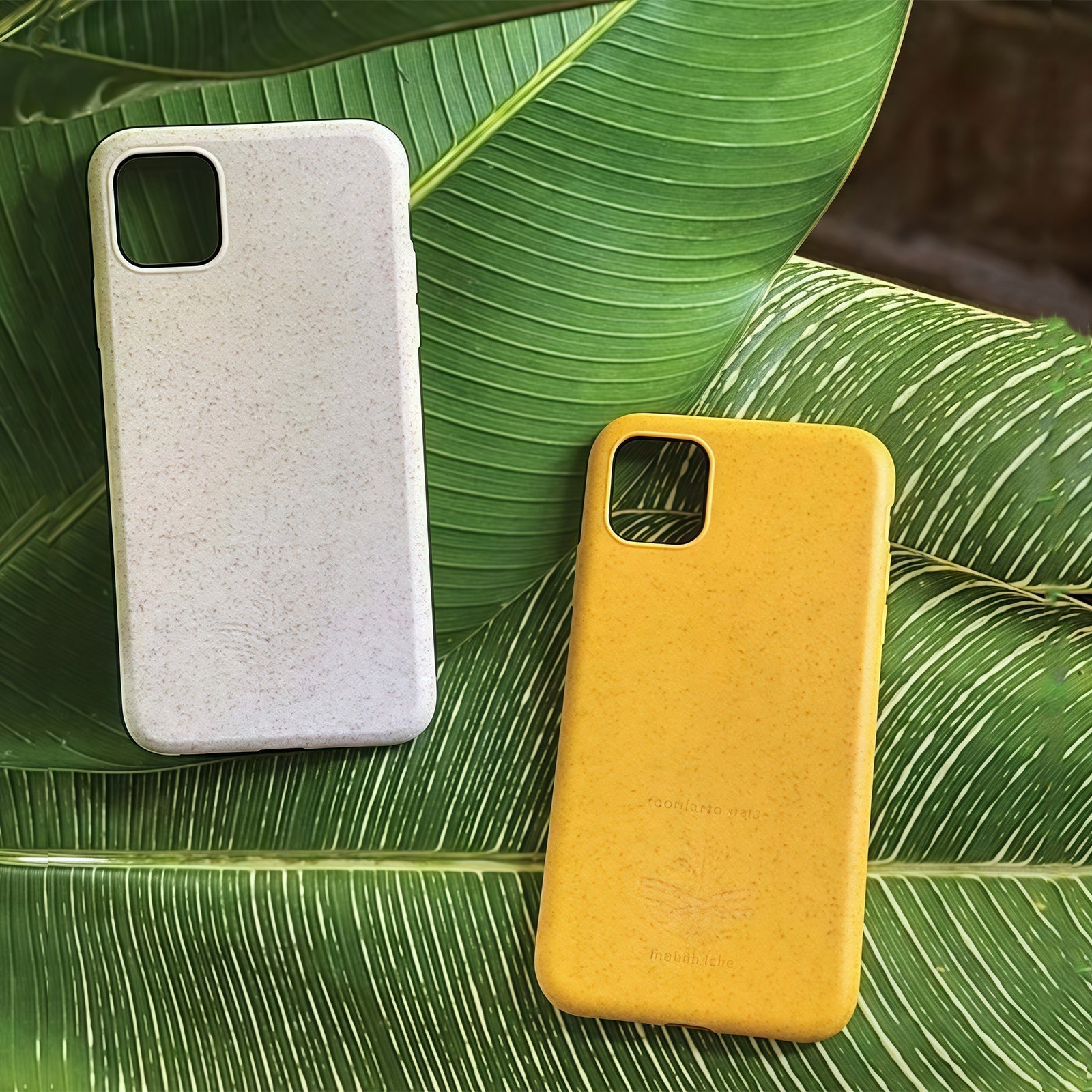 Cornstarch Phone Case Degradation Experiment: Six Months of Fungal Feast Captured in Time-Lapse