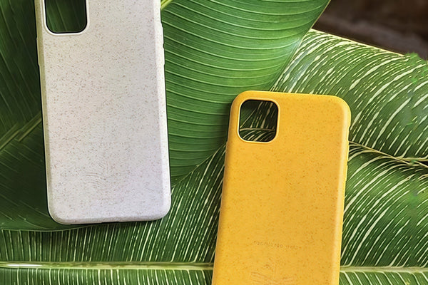 Cornstarch Phone Case Degradation Experiment: Six Months of Fungal Feast Captured in Time-Lapse