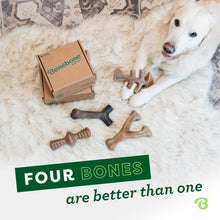 Benebone Large 4-Pack Dog Toys for Aggressive Chewers – Durable Dog Bones, Made in USA – Dog Toys for Large Dogs Under 90 lbs