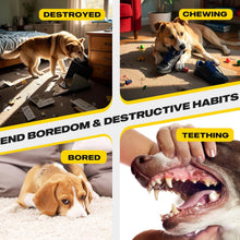 Fida Heavy Duty Dog Rope Toys for Aggressive Chewers 4pcs Pack – Natural Cotton Dog Chew Toys for Large Dogs, Tug-of-War & Fetch Rope Ball/Ring/Knot/Twist to Keep Them Busy
